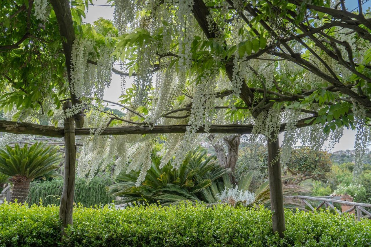 Villa La Pace Sant'Agnello Bagian luar foto